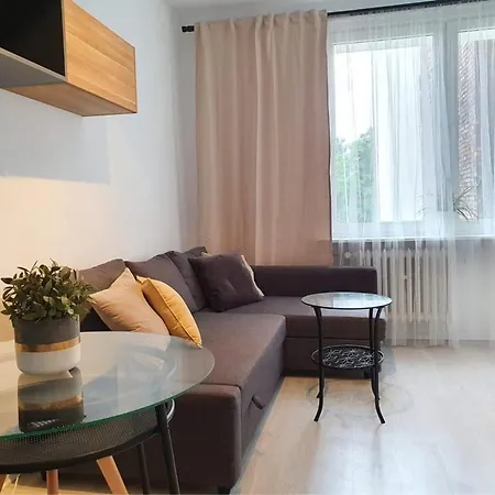 Studio Przy Motlawie Iv * Gdansk