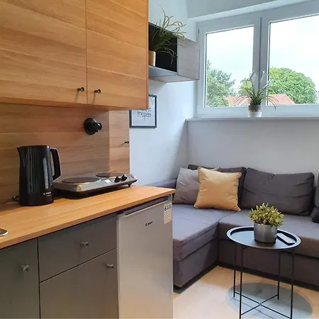 Studio Przy Motlawie Iv * Gdańsk