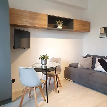 Apartment Studio Przy Motlawie Iv